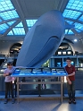 Kids-NYC_AMNH_3-2014 (109)